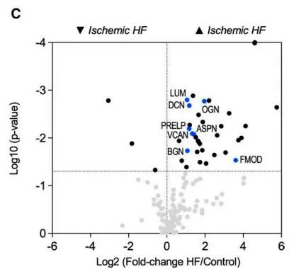 火山图用于对照(n=6)和非缺血性HF (n=10)患者(GuHCl提取物)之间蛋白质组学比较