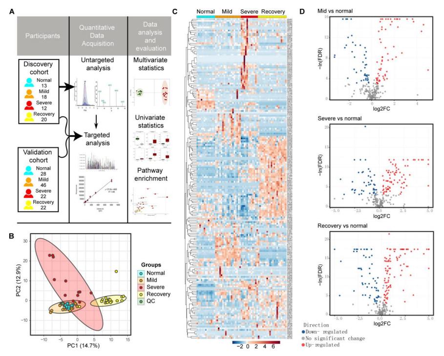 图1所示。对发现队列中所有COVID-19发展期患者的血清非靶向代谢组学分析。(A)研究设计;(B)四组非靶向代谢组学的主成分分析(PCA);(C) 193种代谢物热图;(D)火山地图