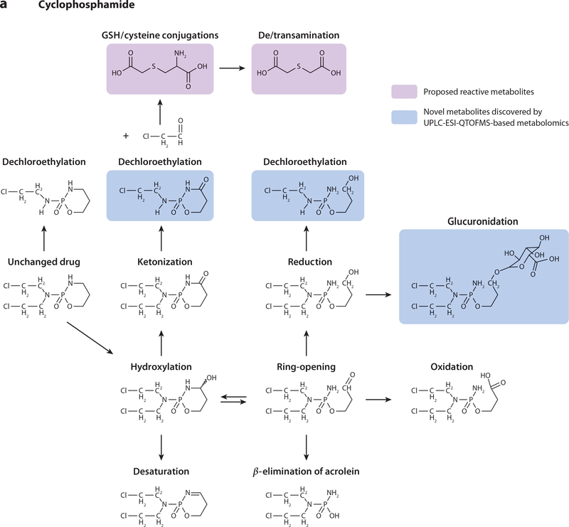 Xenobiotic代谢产物分析